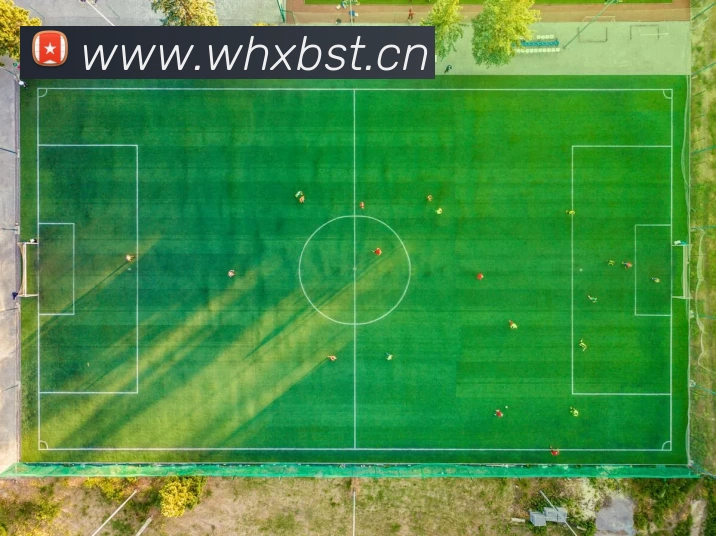 App Interface Preview