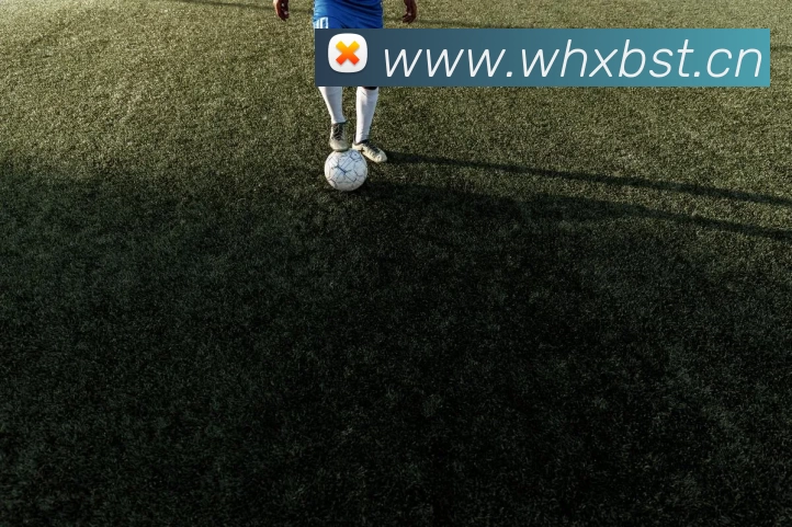 爱游戏ayx网页版登陆APP 封面图